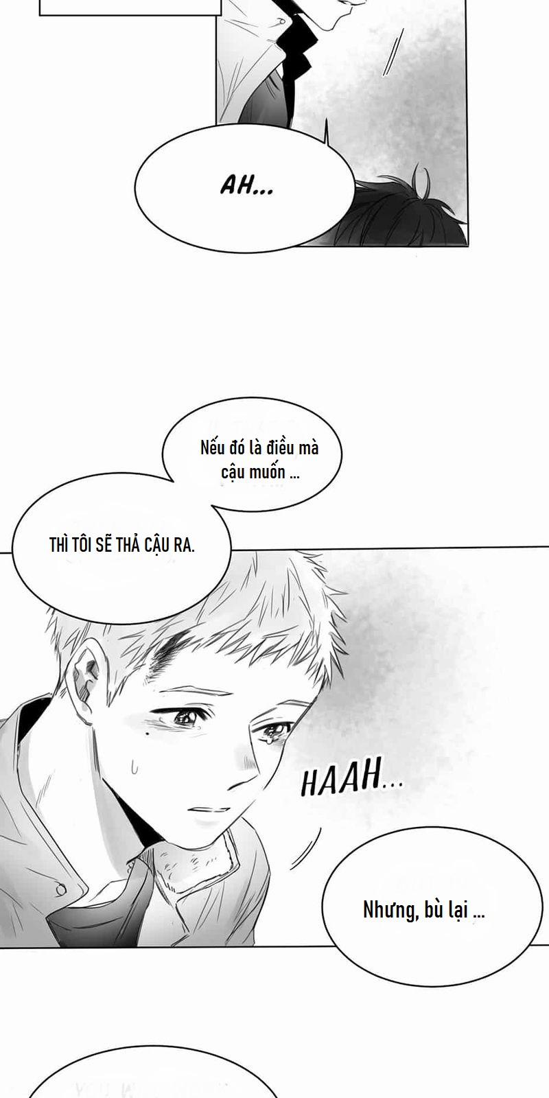 Một Ngàn Con Hạc Giấy 4 trang 22