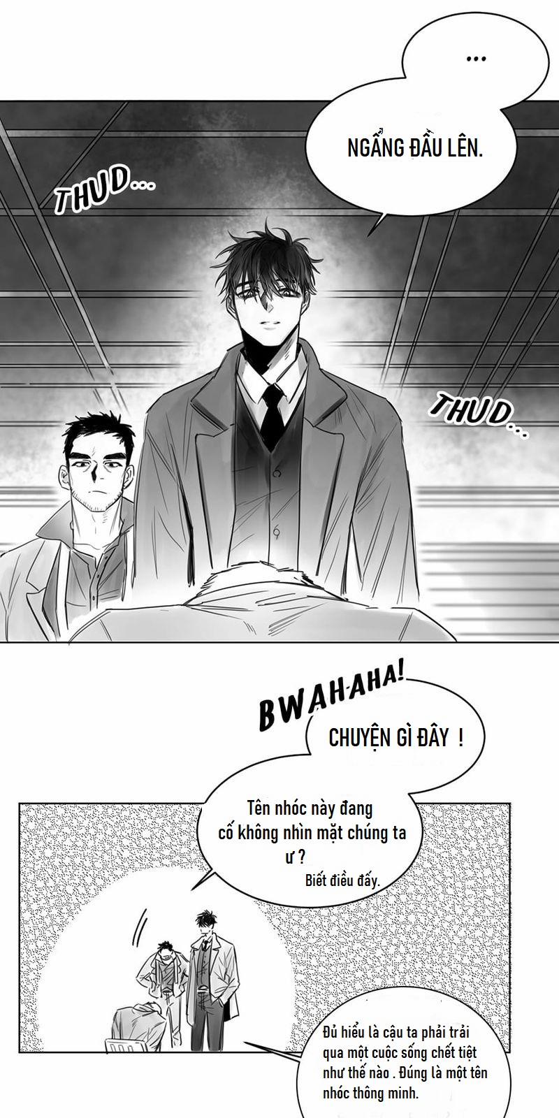 Một Ngàn Con Hạc Giấy 4 trang 7