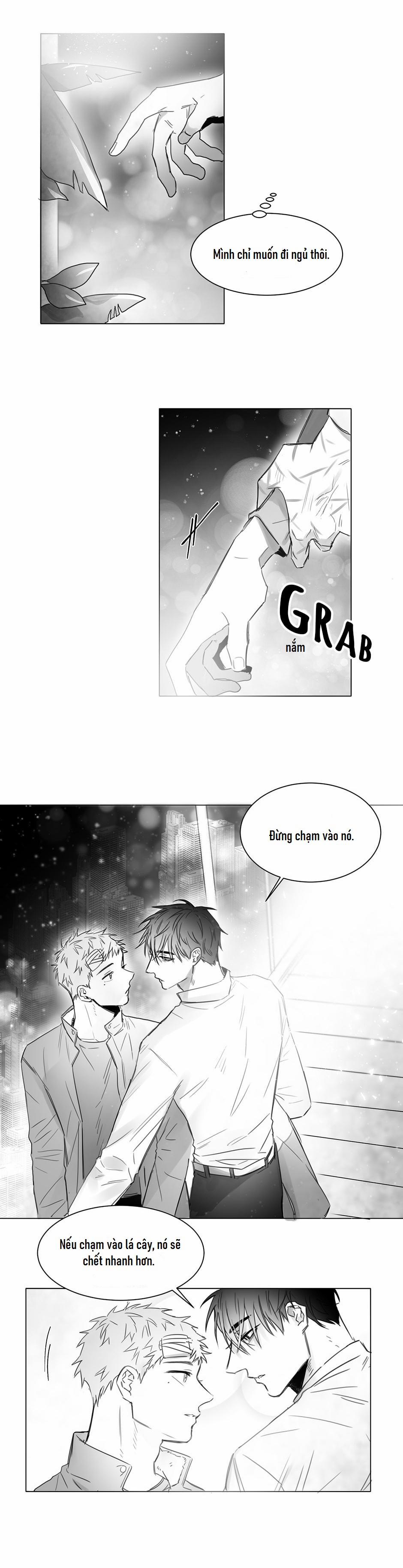 Một Ngàn Con Hạc Giấy 9 trang 4