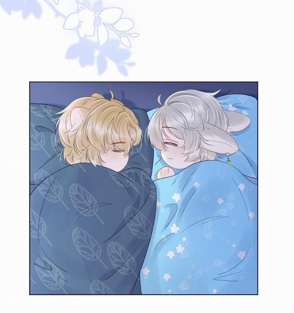 Một Ngụm Ăn Cả Thỏ Con 23 trang 51