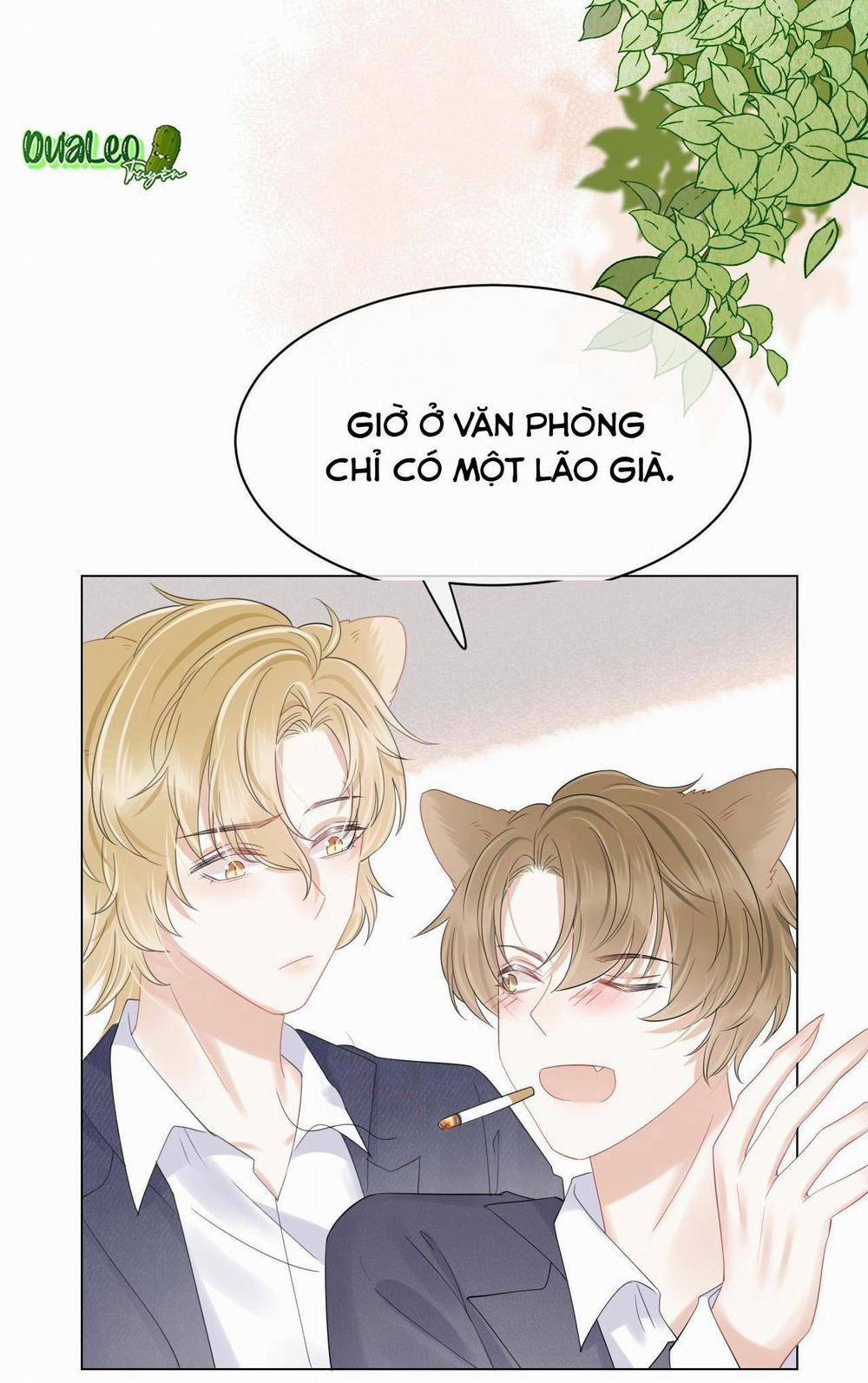 Một Ngụm Ăn Cả Thỏ Con 28 trang 13