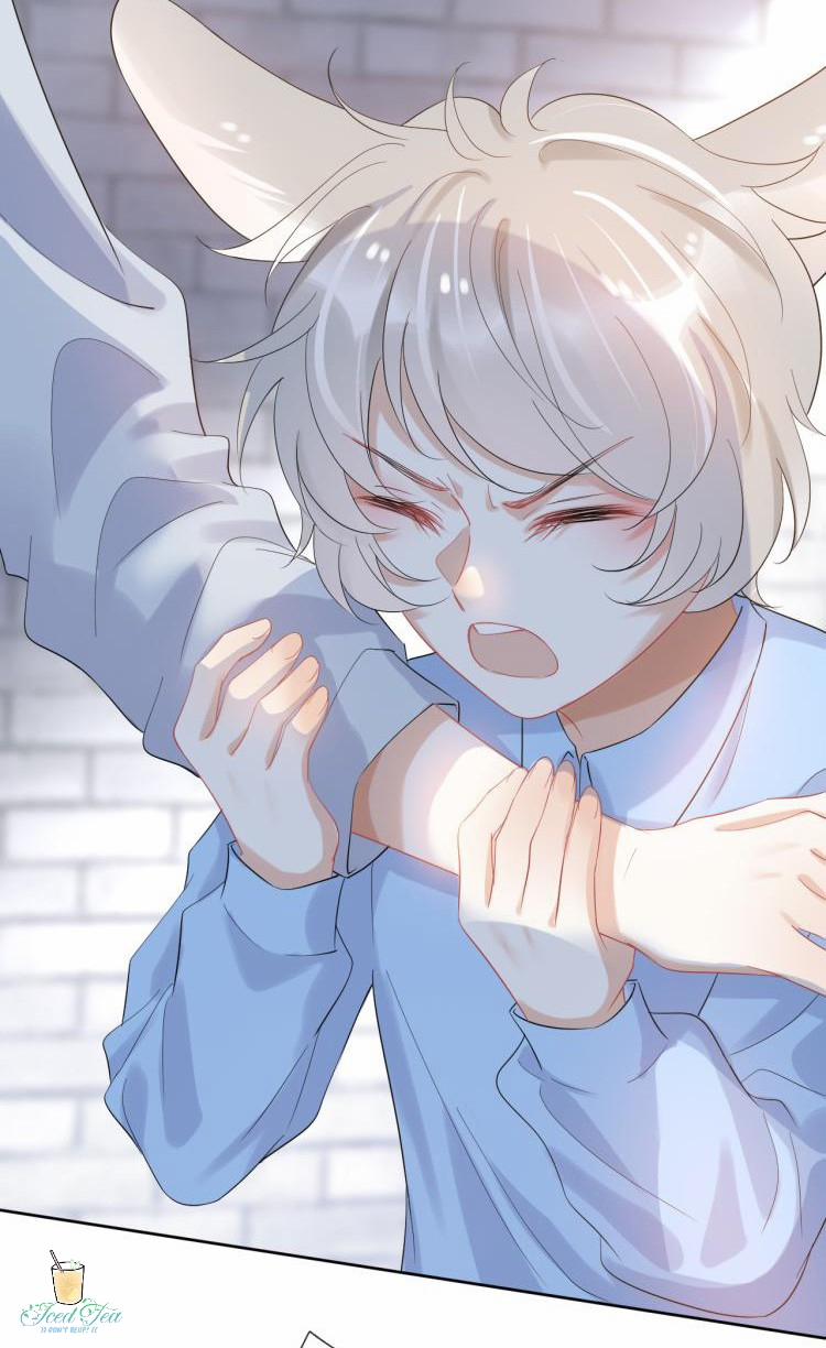 Một Ngụm Ăn Cả Thỏ Con 3 trang 19