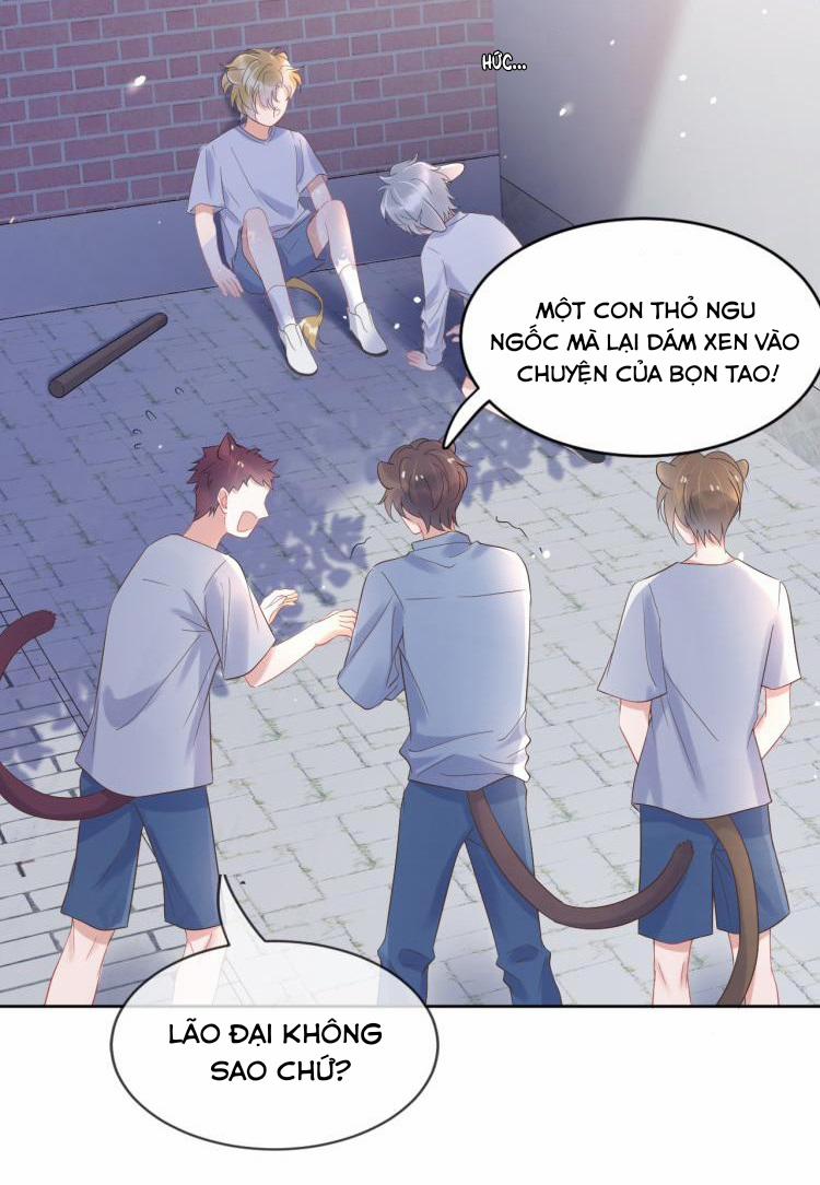 Một Ngụm Ăn Cả Thỏ Con 3 trang 23