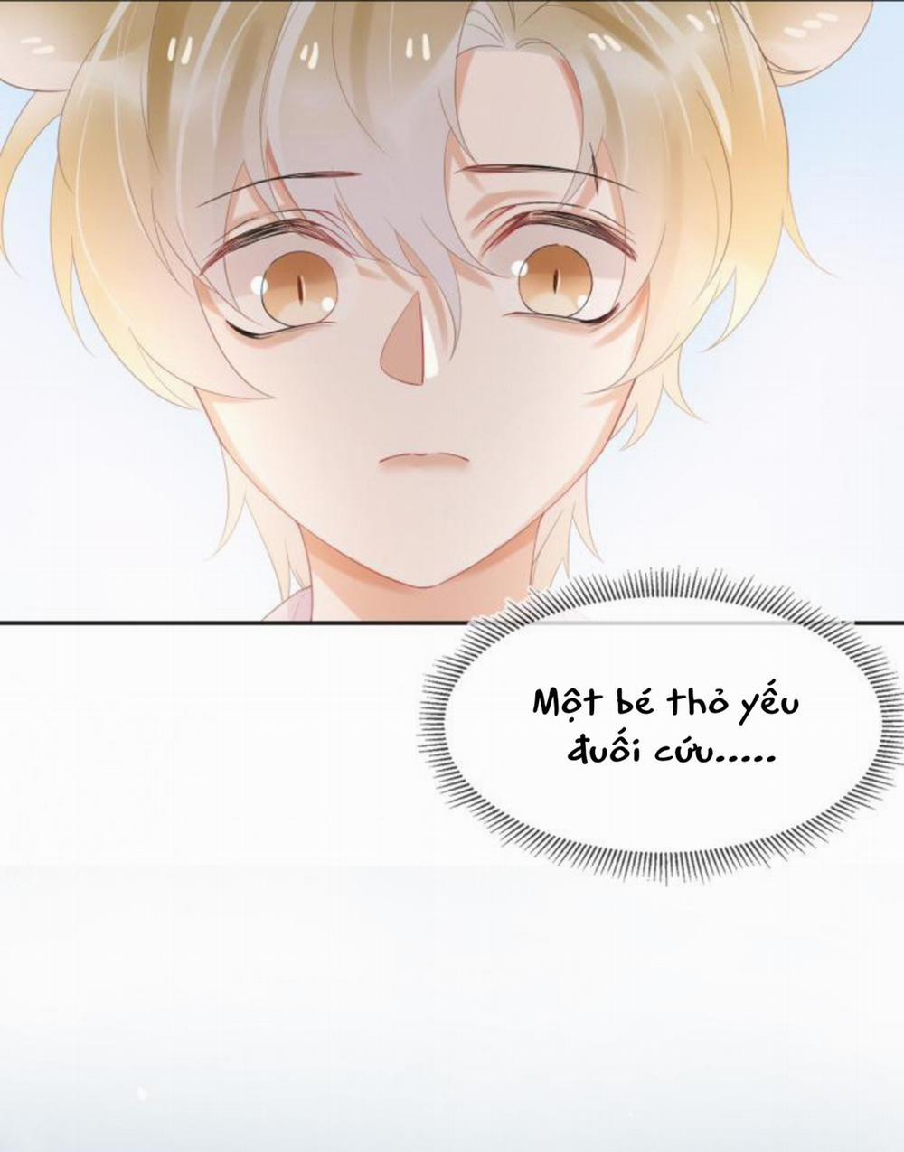 Một Ngụm Ăn Cả Thỏ Con 3 trang 49