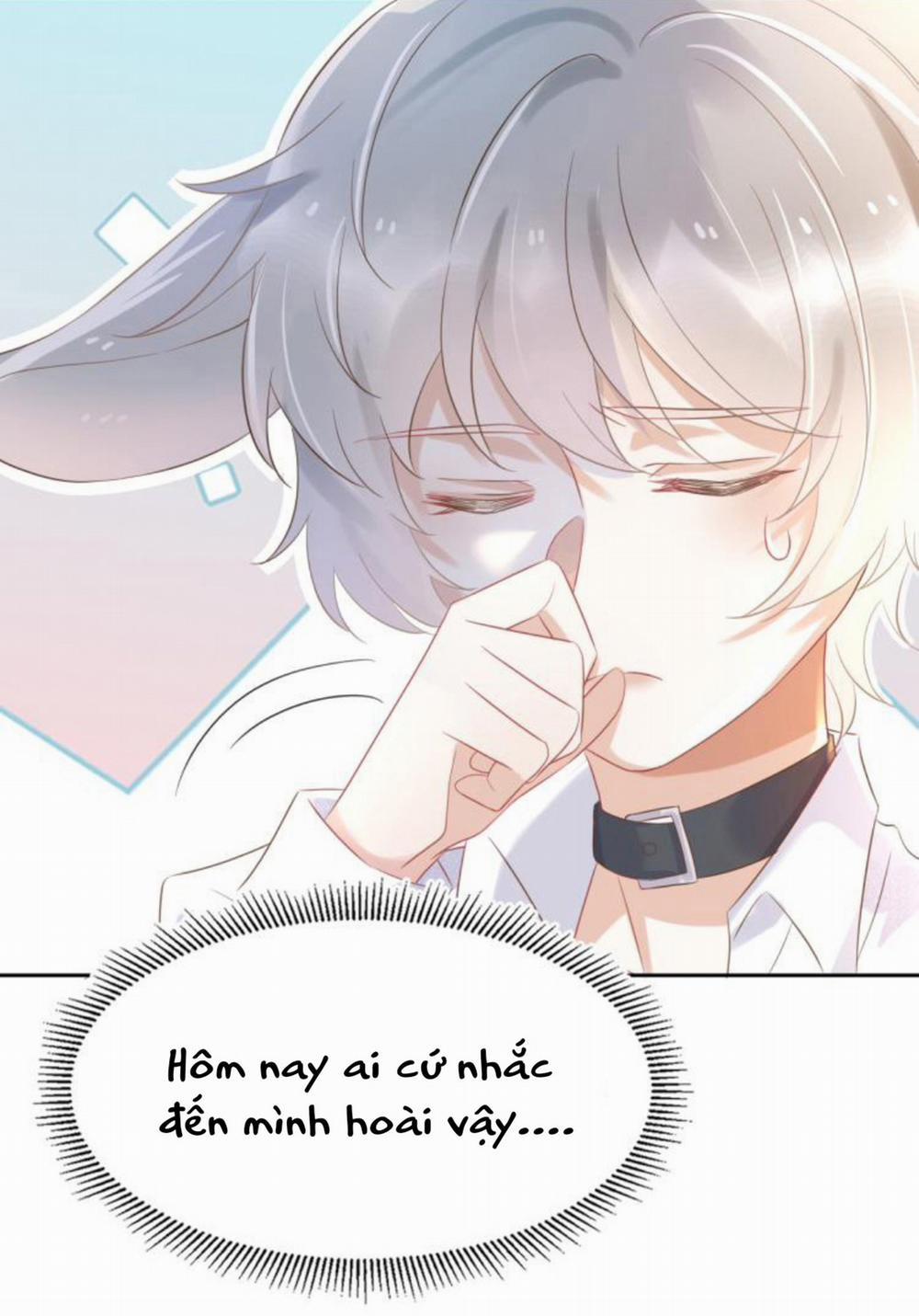 Một Ngụm Ăn Cả Thỏ Con 3 trang 84