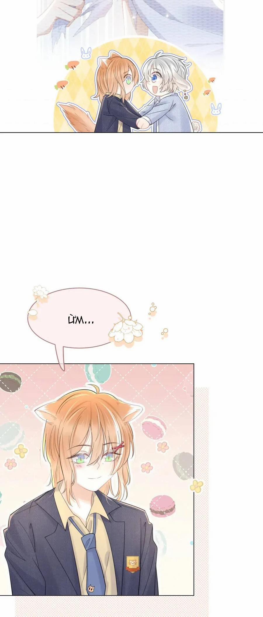 Một Ngụm Ăn Cả Thỏ Con 33 trang 24