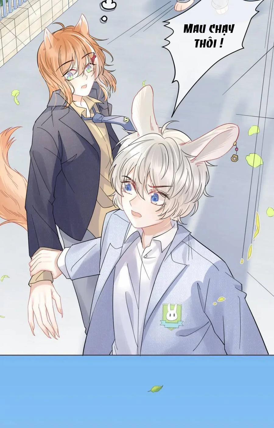 Một Ngụm Ăn Cả Thỏ Con 33 trang 9