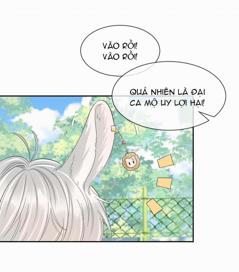 Một Ngụm Ăn Cả Thỏ Con 37 trang 41