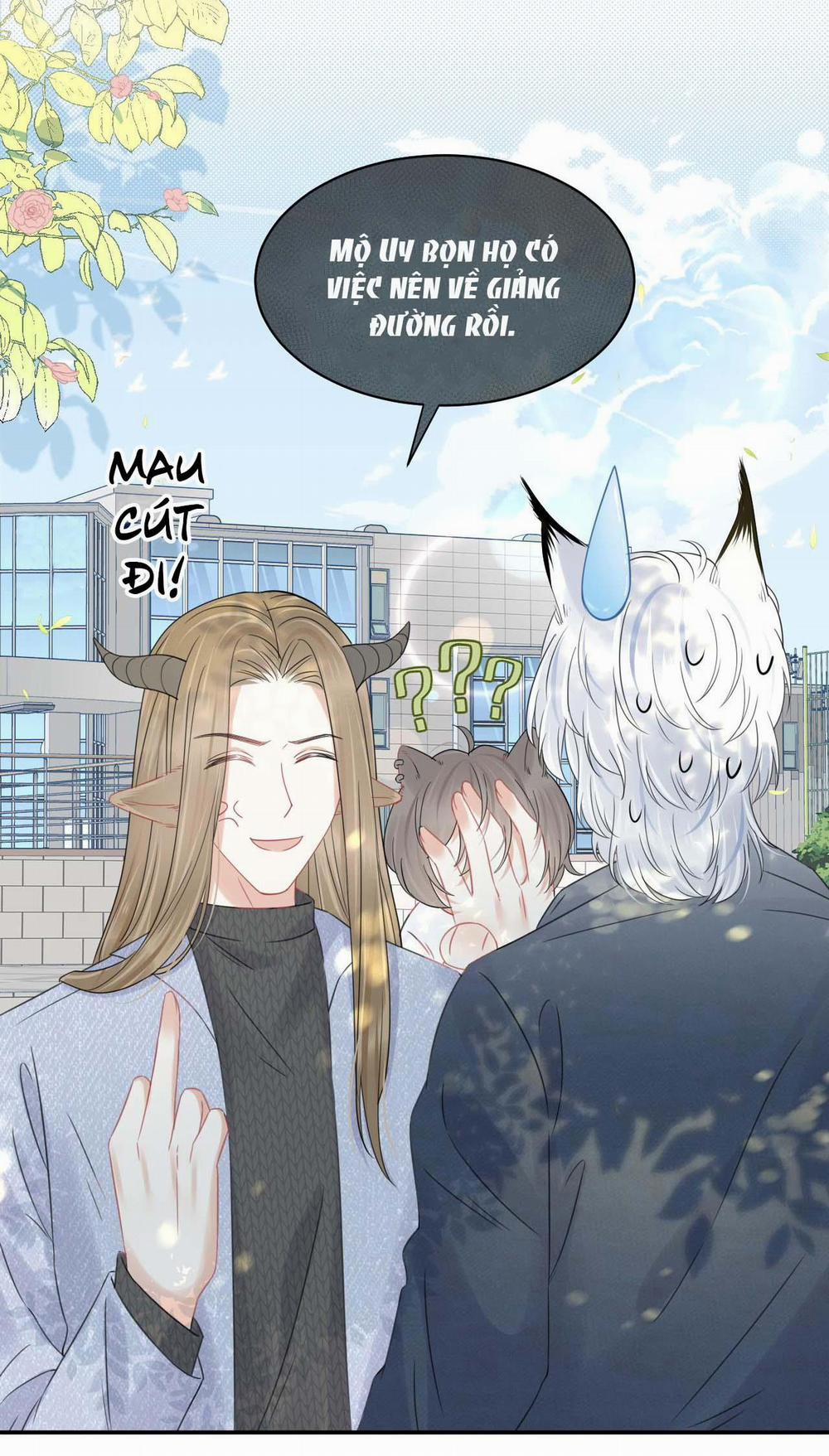 Một Ngụm Ăn Cả Thỏ Con 37 trang 5