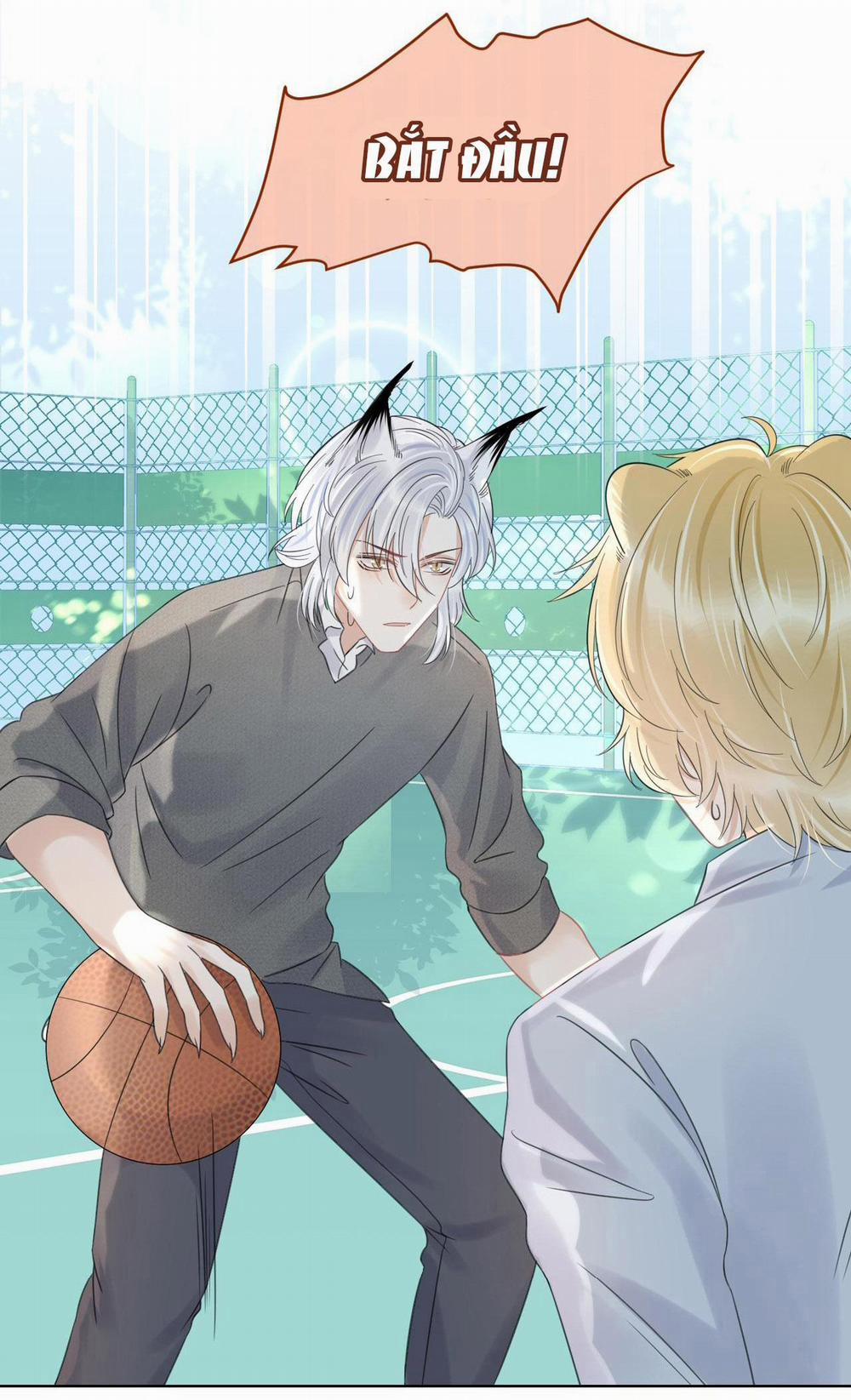 Một Ngụm Ăn Cả Thỏ Con 38 trang 35