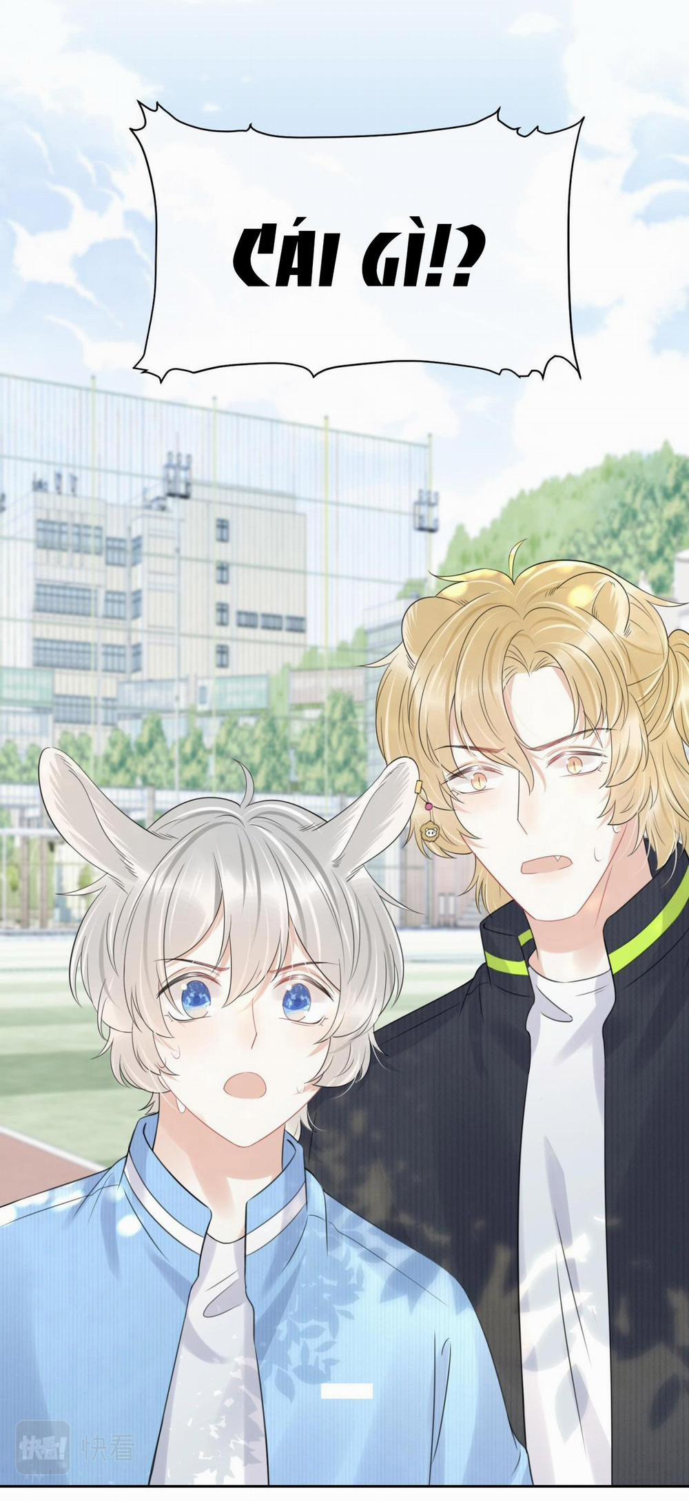 Một Ngụm Ăn Cả Thỏ Con 43 trang 24