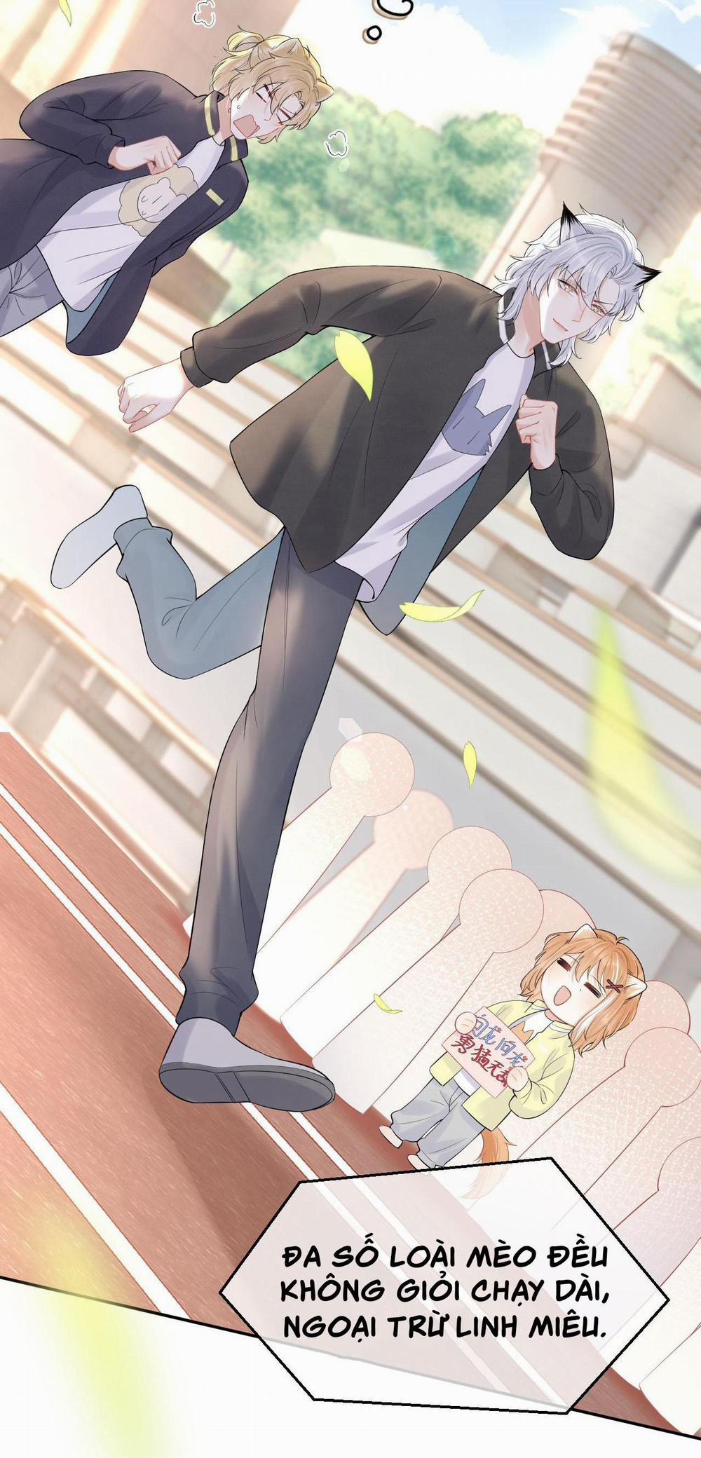 Một Ngụm Ăn Cả Thỏ Con 45 trang 27