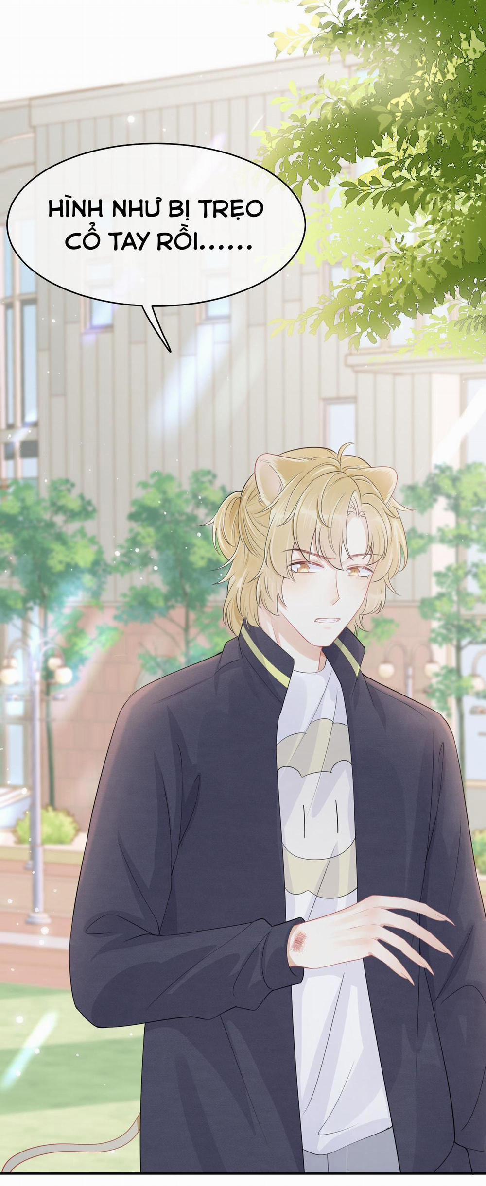 Một Ngụm Ăn Cả Thỏ Con 48 trang 6