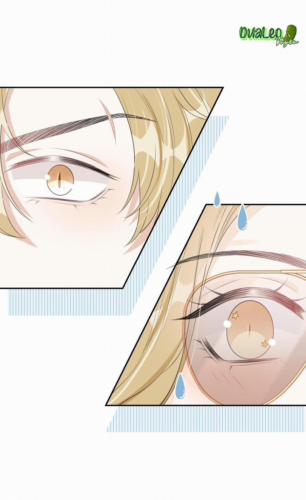 Một Ngụm Ăn Cả Thỏ Con 49 trang 6