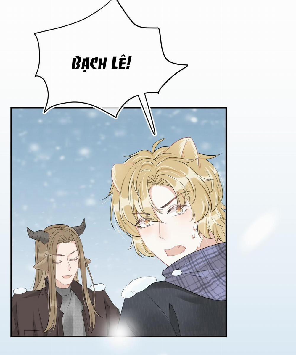 Một Ngụm Ăn Cả Thỏ Con 50 trang 5