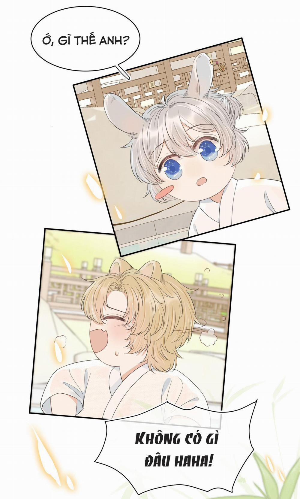 Một Ngụm Ăn Cả Thỏ Con 57 trang 24