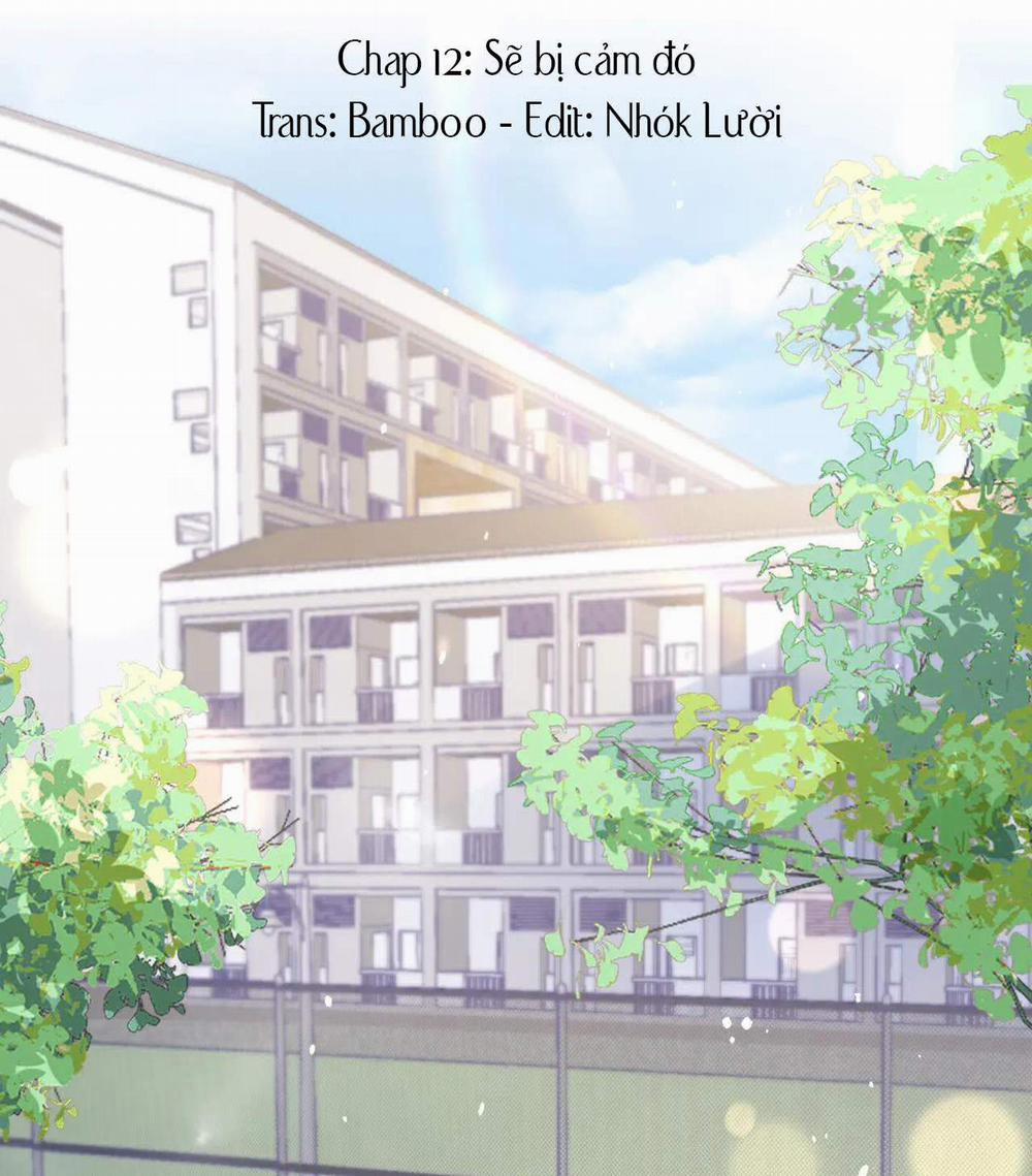 Một Ngụm Nuốt Trọn Thỏ Con 12 trang 3