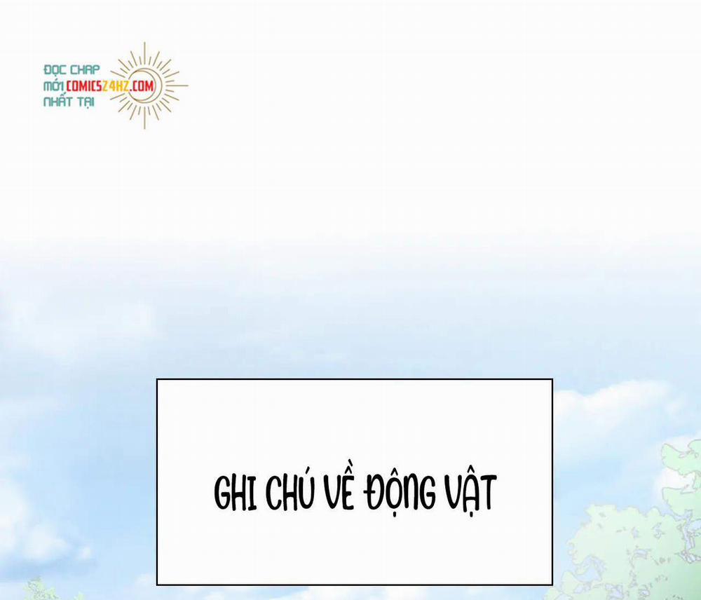 Một Ngụm Nuốt Trọn Thỏ Con 12 trang 51