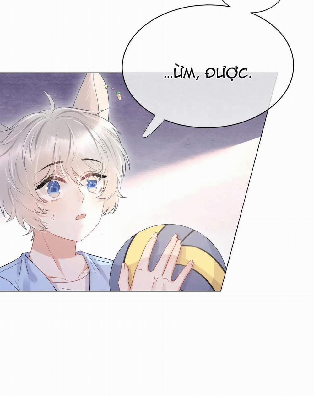Một Ngụm Nuốt Trọn Thỏ Con 15 trang 24