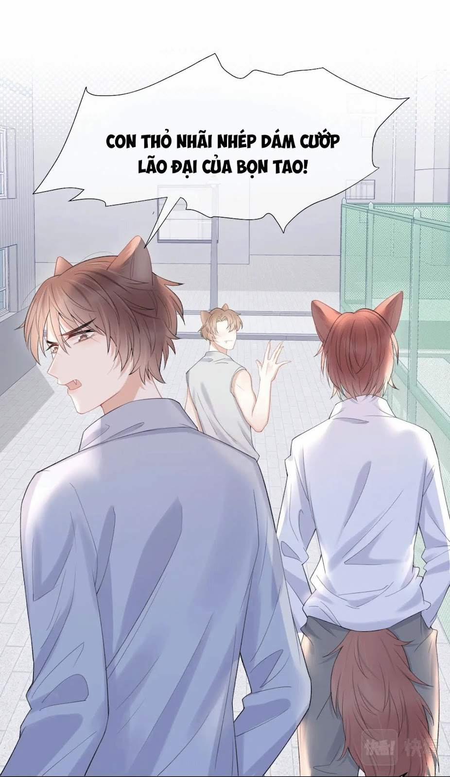 Một Ngụm Nuốt Trọn Thỏ Con 15 trang 30