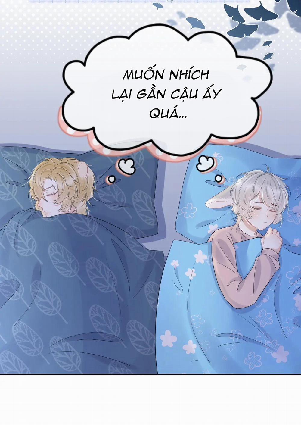 Một Ngụm Nuốt Trọn Thỏ Con 23 trang 47