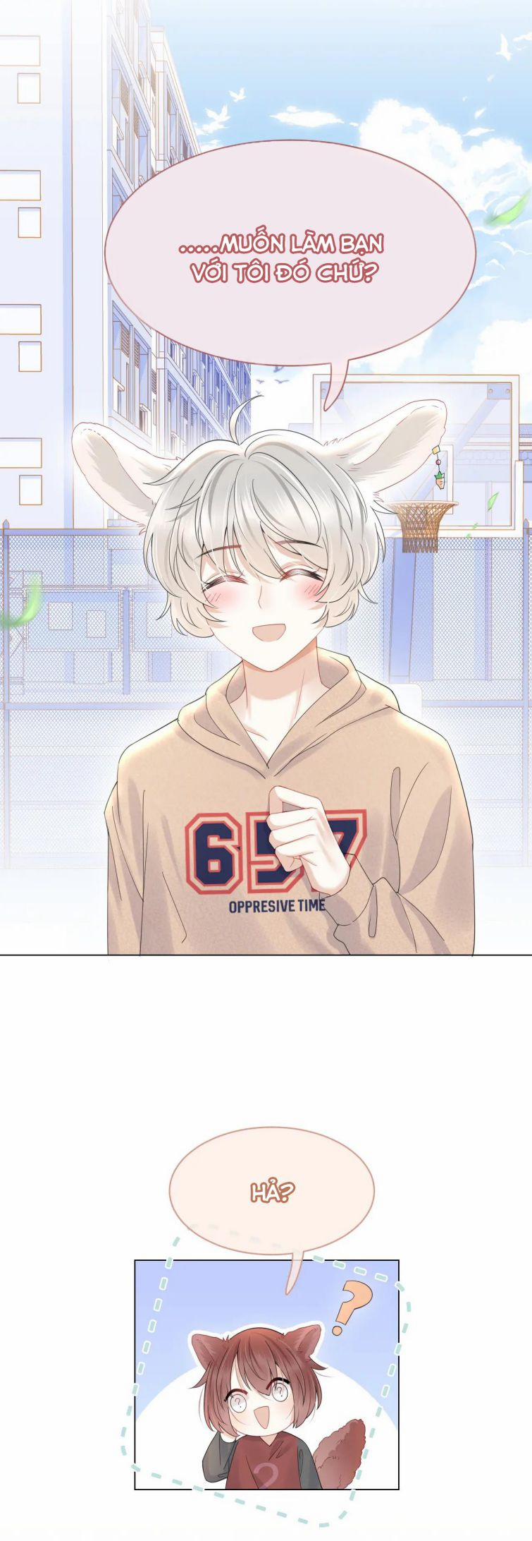 Một Ngụm Nuốt Trọn Thỏ Con 24 trang 20