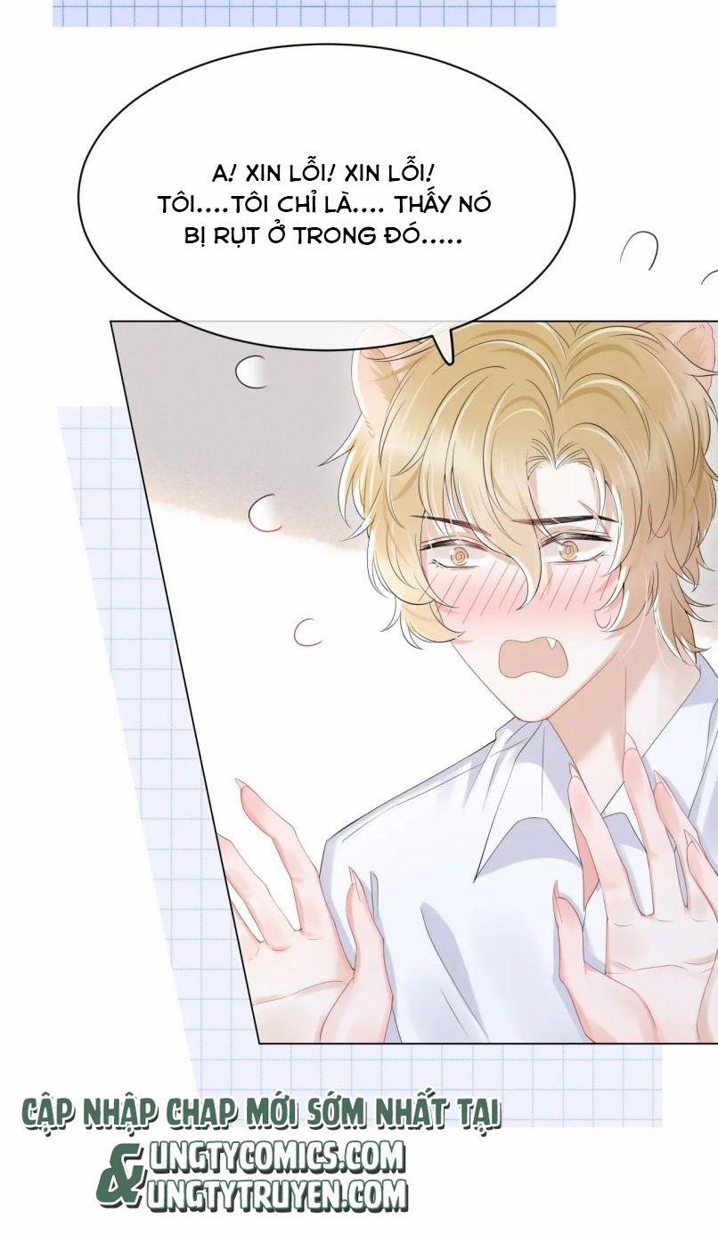 Một Ngụm Nuốt Trọn Thỏ Con 25 trang 11