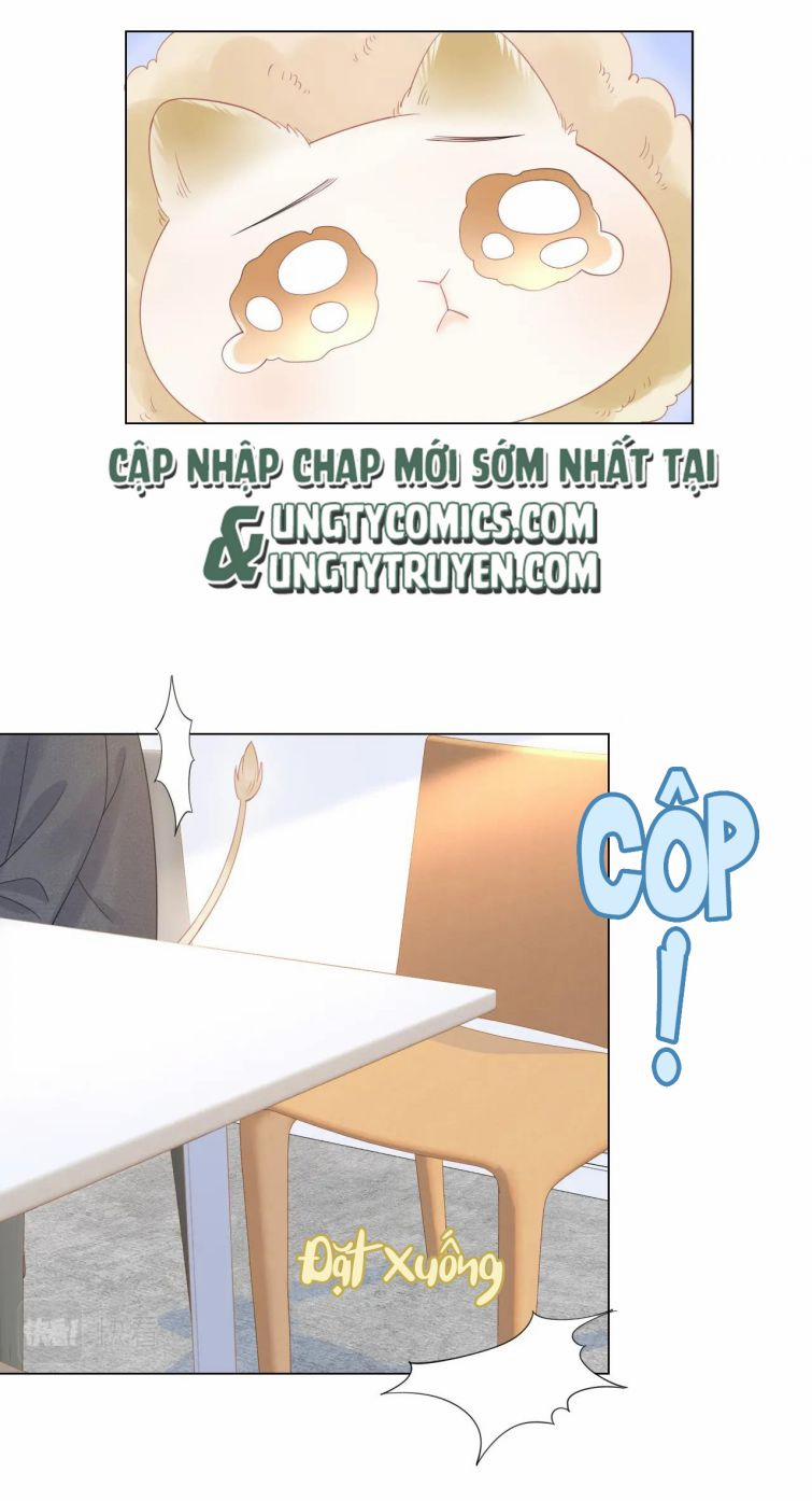 Một Ngụm Nuốt Trọn Thỏ Con 27 trang 19