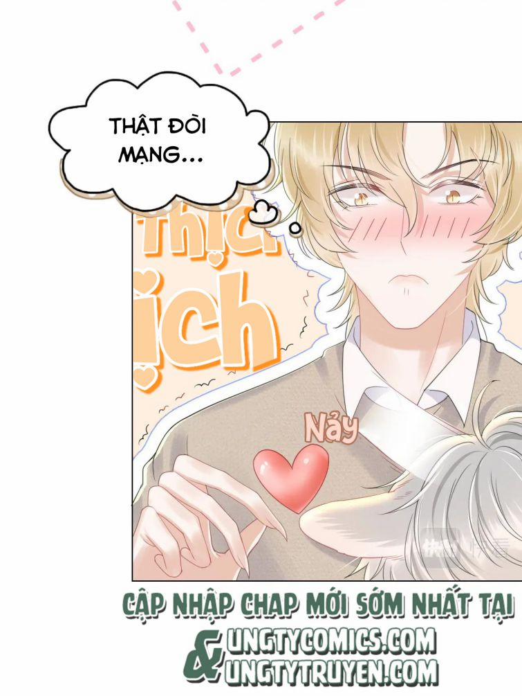 Một Ngụm Nuốt Trọn Thỏ Con 27 trang 25