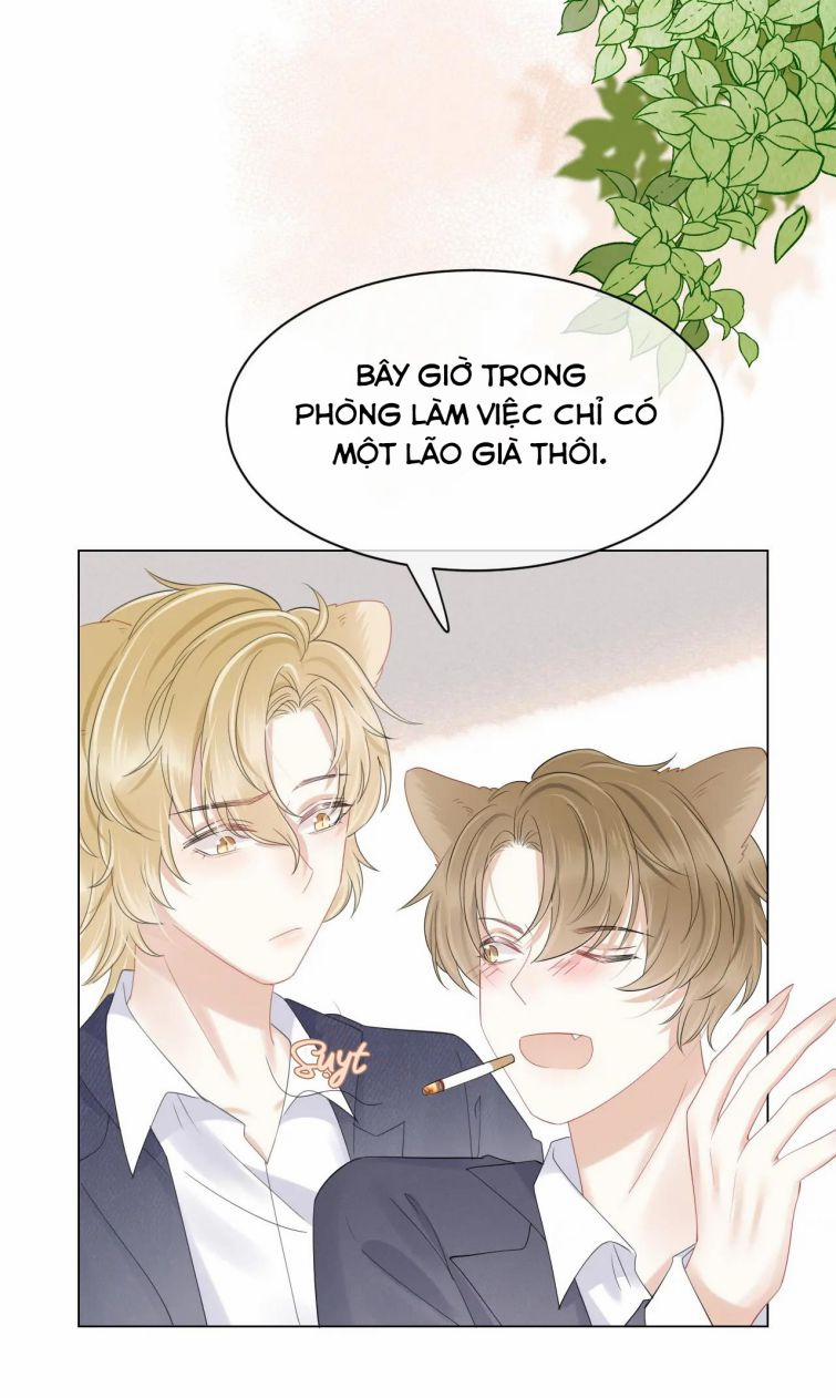 Một Ngụm Nuốt Trọn Thỏ Con 28 trang 11