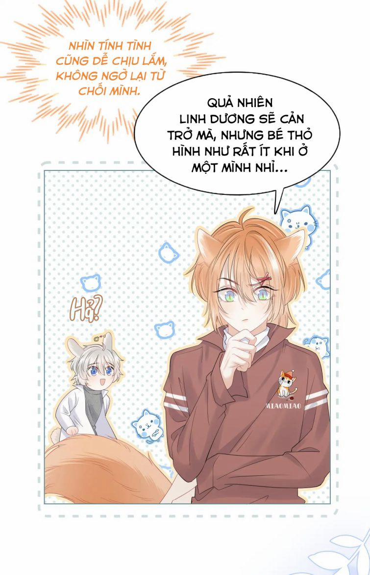 Một Ngụm Nuốt Trọn Thỏ Con 29 trang 20