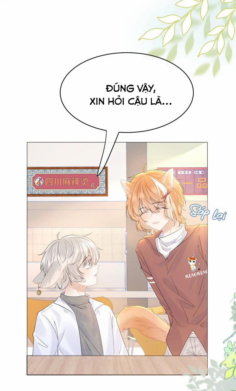 Một Ngụm Nuốt Trọn Thỏ Con 29 trang 6