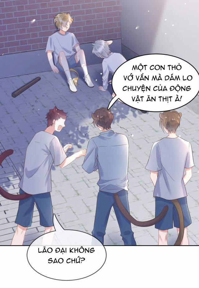 Một Ngụm Nuốt Trọn Thỏ Con 3 trang 26