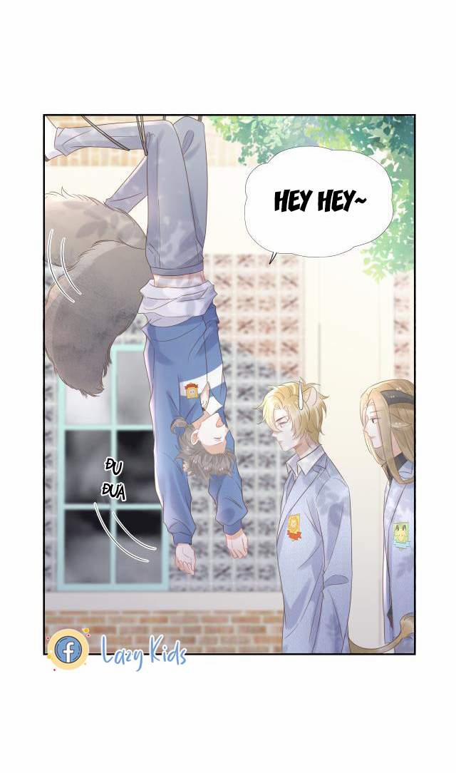 Một Ngụm Nuốt Trọn Thỏ Con 3 trang 67