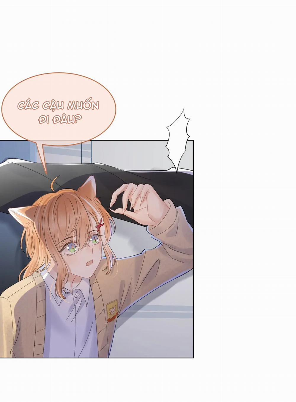 Một Ngụm Nuốt Trọn Thỏ Con 31 trang 11