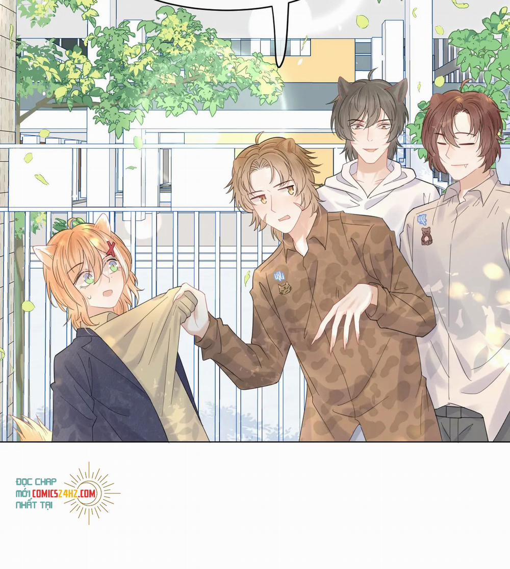 Một Ngụm Nuốt Trọn Thỏ Con 33 trang 8