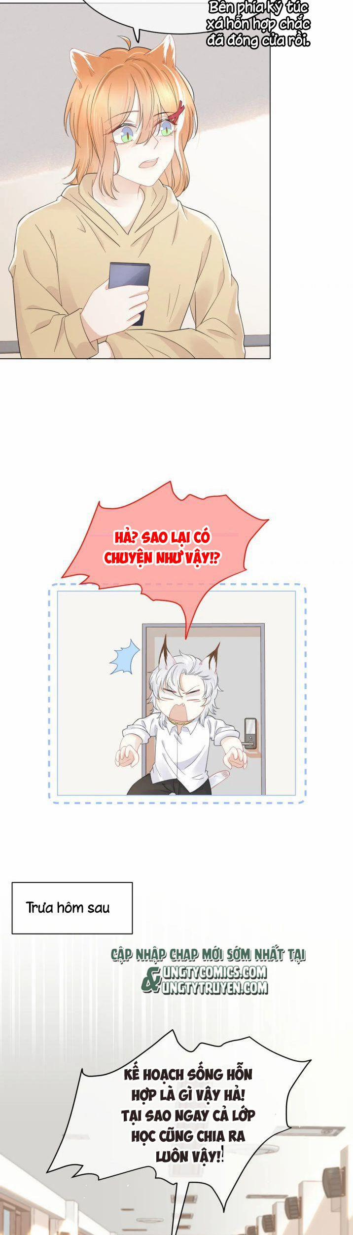 Một Ngụm Nuốt Trọn Thỏ Con 35 trang 29