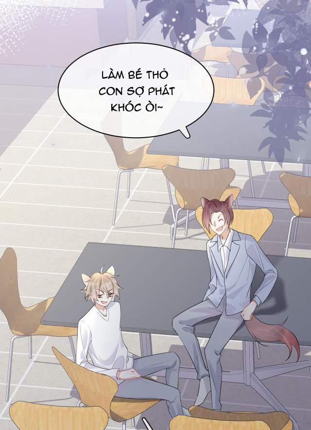Một Ngụm Nuốt Trọn Thỏ Con 4 trang 24