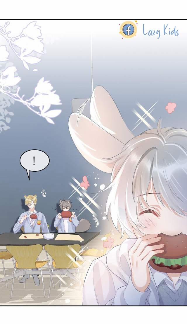 Một Ngụm Nuốt Trọn Thỏ Con 4 trang 6