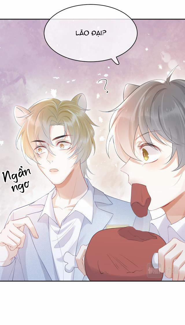 Một Ngụm Nuốt Trọn Thỏ Con 4 trang 8