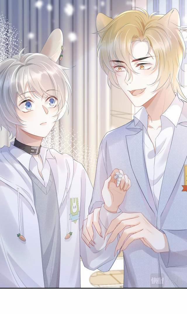 Một Ngụm Nuốt Trọn Thỏ Con 5 trang 7