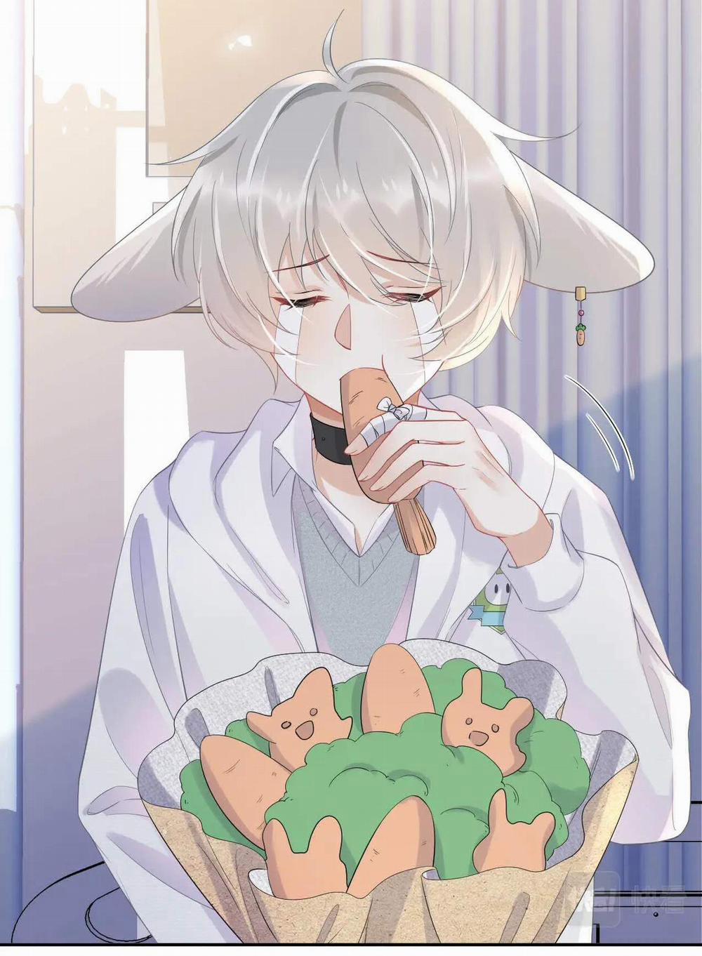 Một Ngụm Nuốt Trọn Thỏ Con 6 trang 11