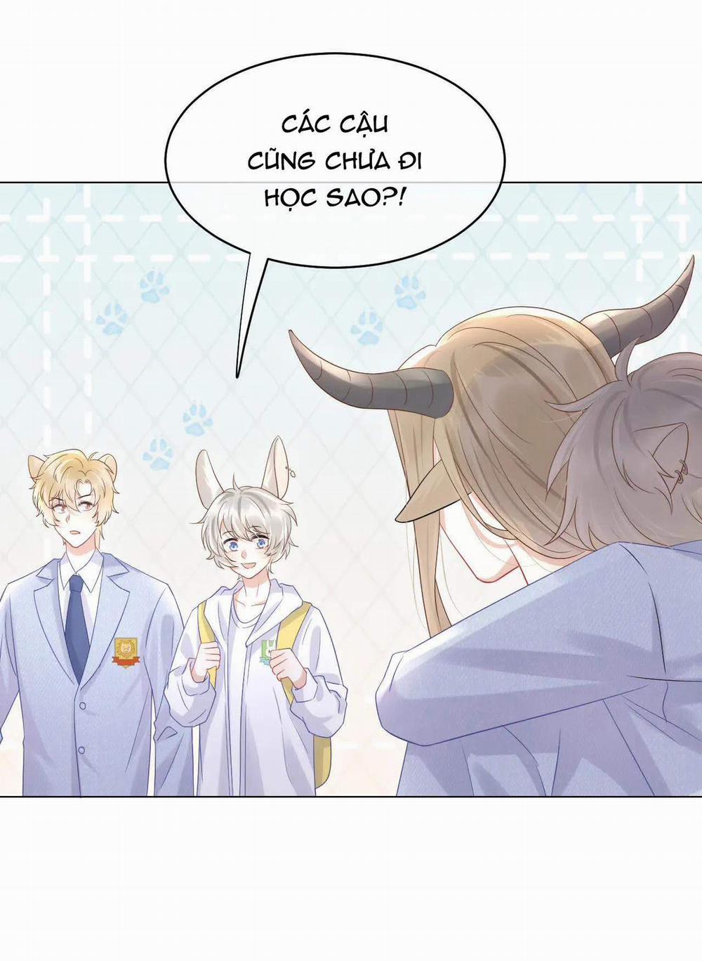 Một Ngụm Nuốt Trọn Thỏ Con 9 trang 11