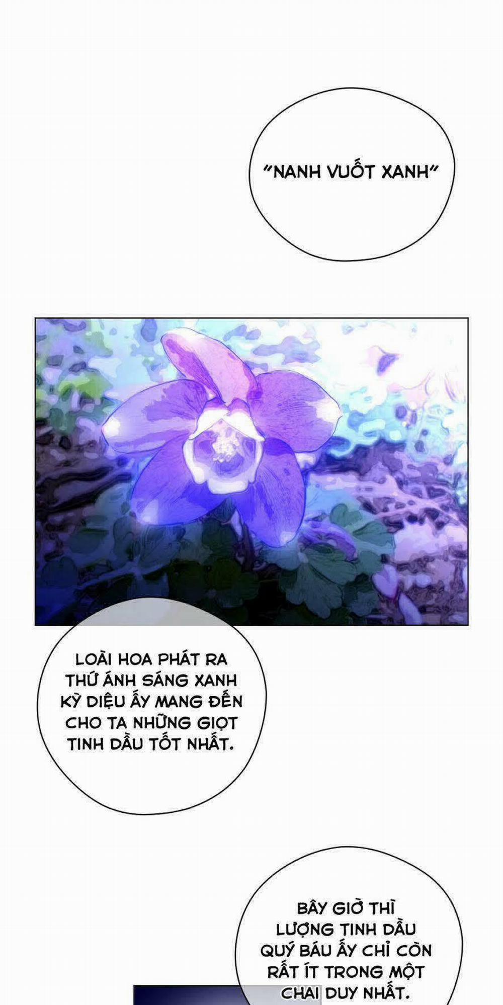 Một Nửa Hoàn Hảo 12 trang 43