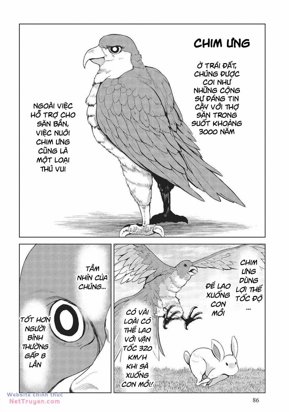 Một Thợ Săn Nhanh Nhẹn Ở Hokkaido Bị Ném Vào Một Thế Giới Khác 10 trang 45