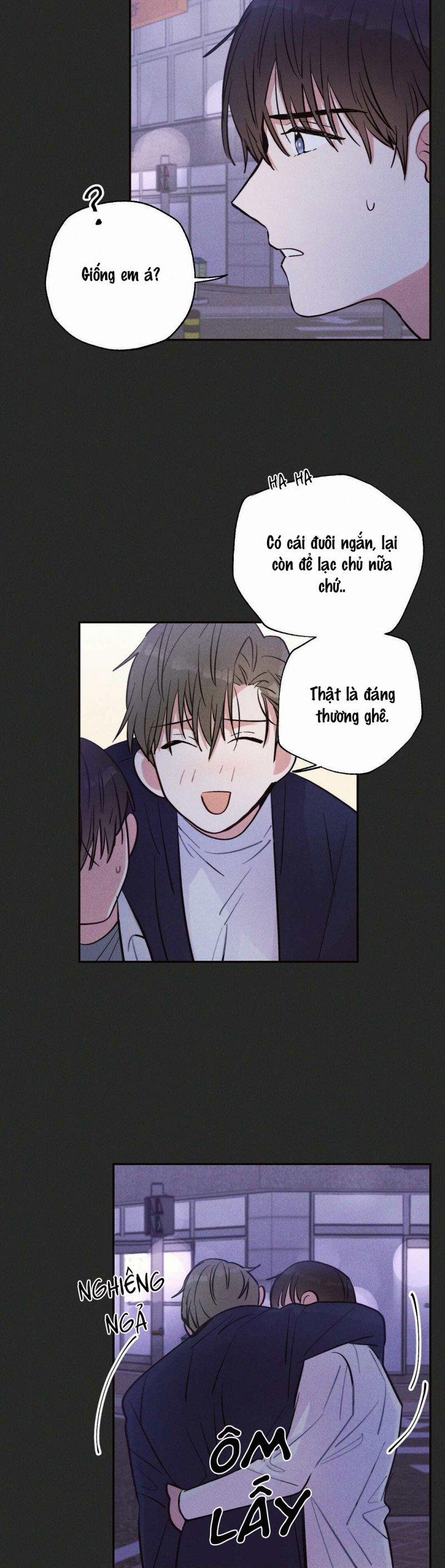 Mưa Bão 15 trang 11