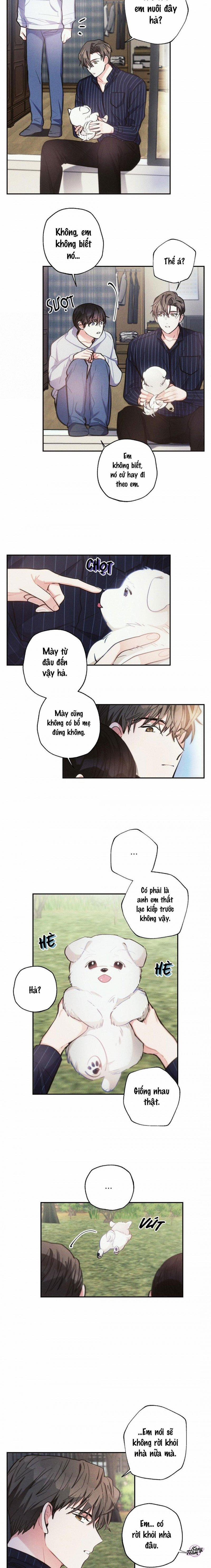 Mưa Bão 41 trang 5