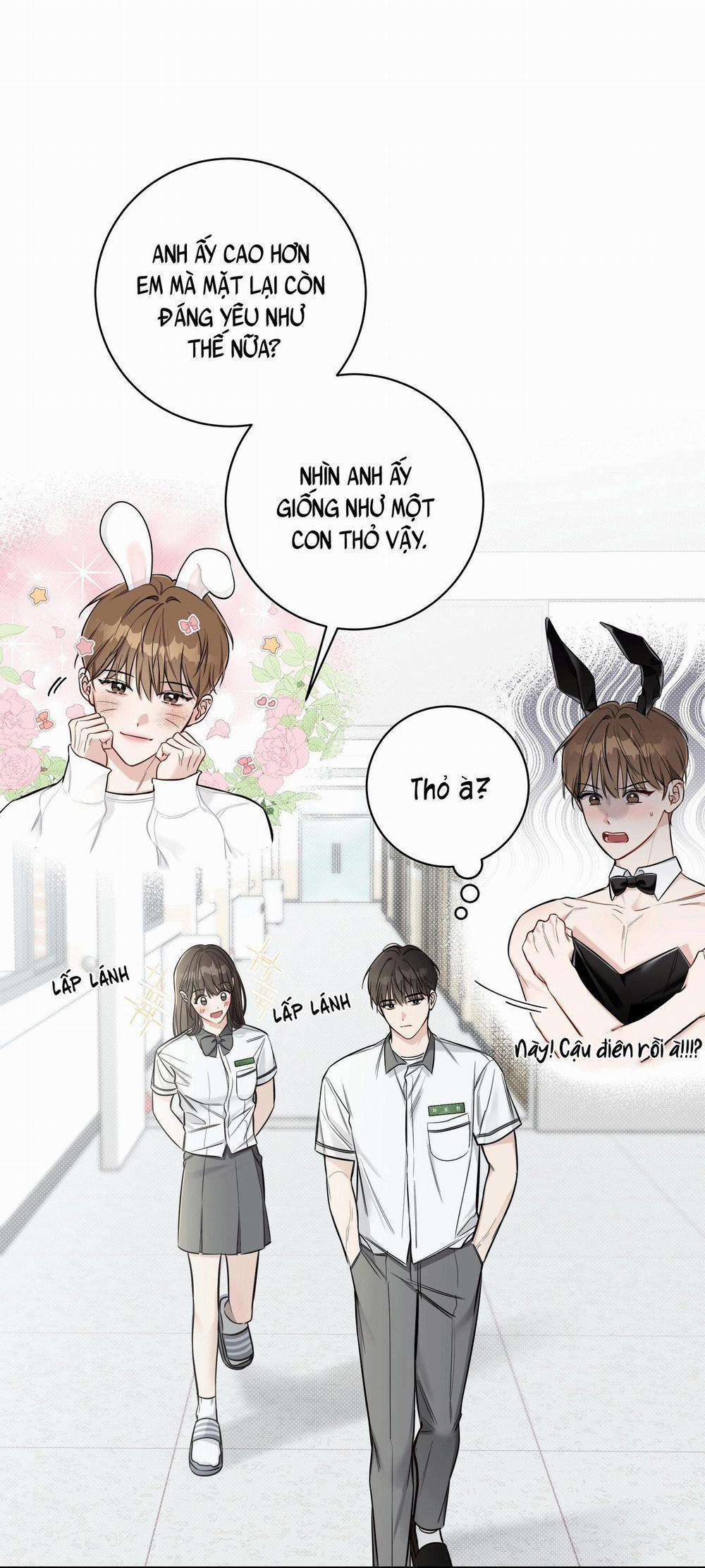 Mùa Hè Năm Ấy 4 trang 5