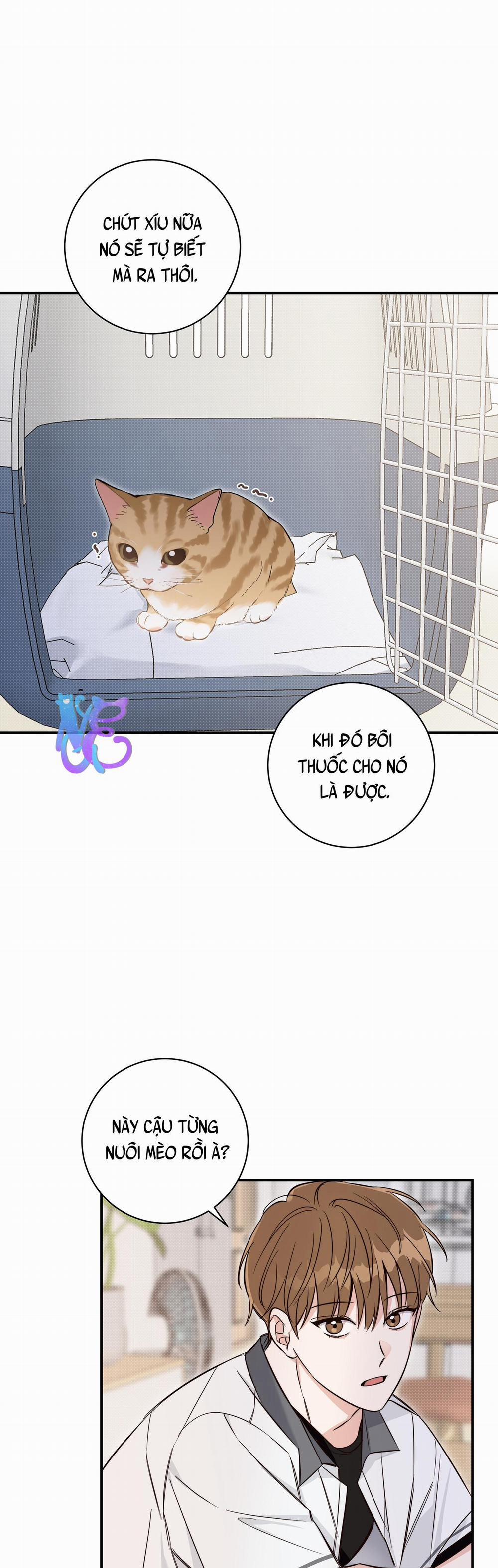 Mùa Hè Năm Ấy 6 trang 23