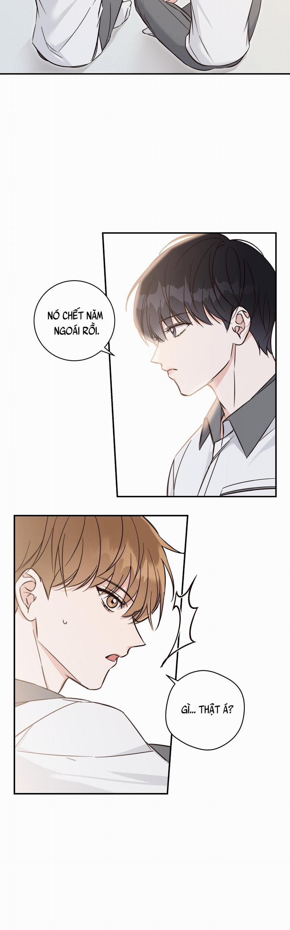 Mùa Hè Năm Ấy 6 trang 28